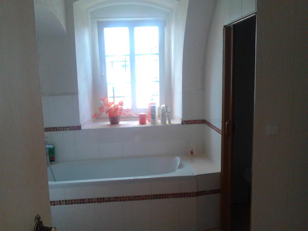 Jiretinska Chaloupka Apartment Jiřetín pod Jedlovou Bagian luar foto