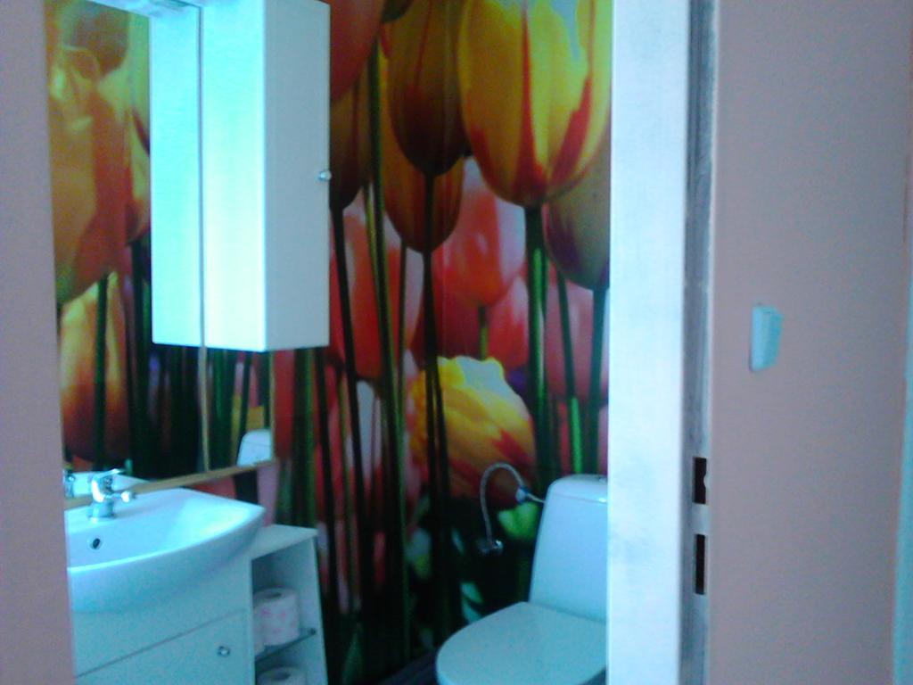 Jiretinska Chaloupka Apartment Jiřetín pod Jedlovou Bagian luar foto