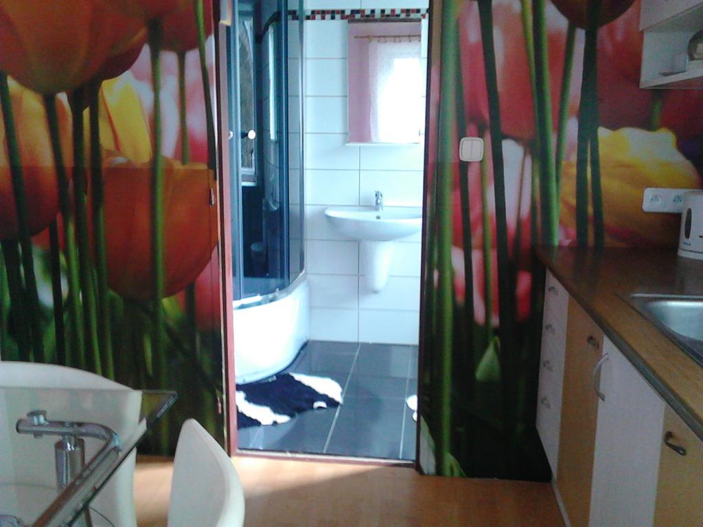 Jiretinska Chaloupka Apartment Jiřetín pod Jedlovou Bagian luar foto