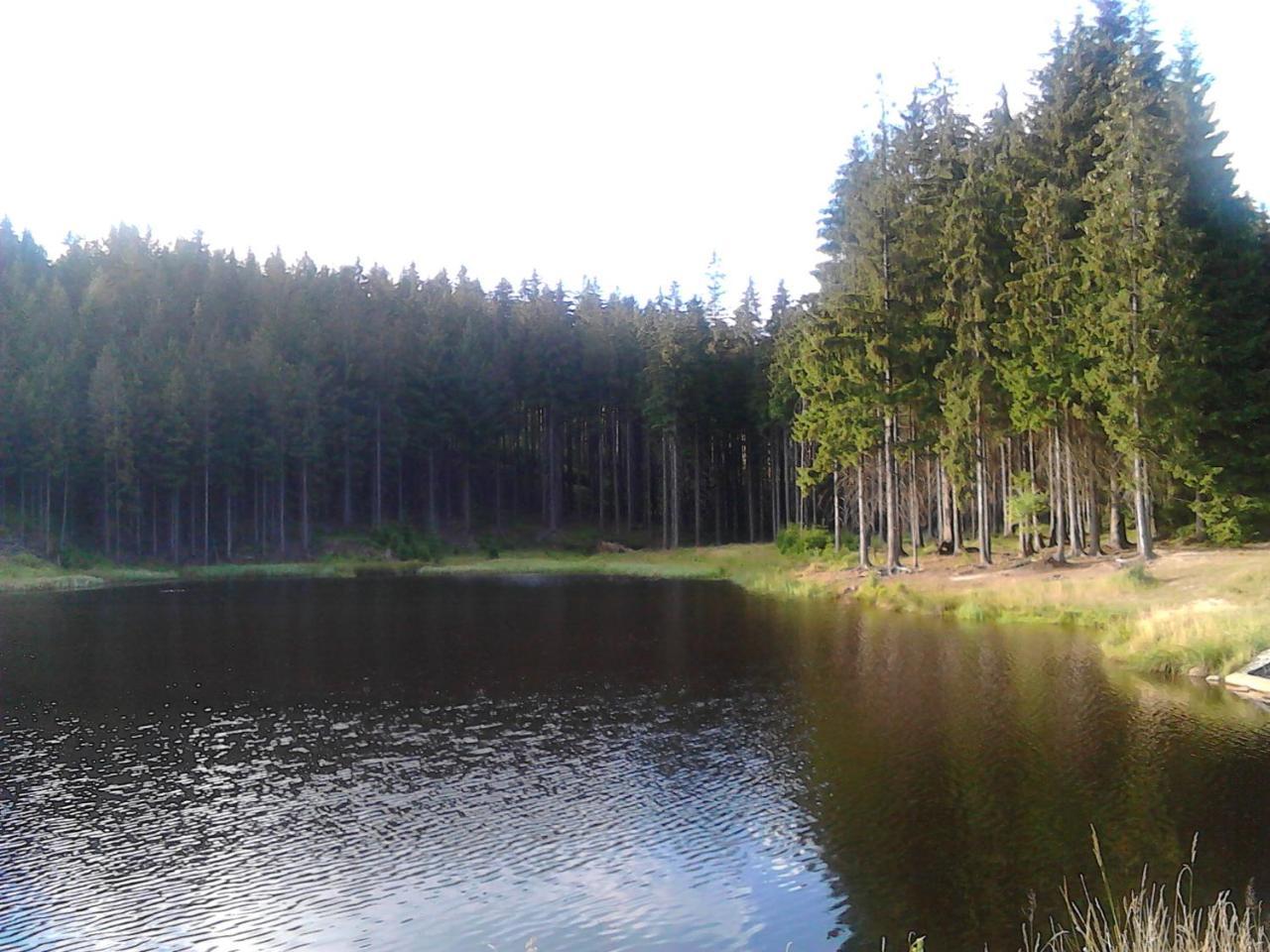 Jiretinska Chaloupka Apartment Jiřetín pod Jedlovou Bagian luar foto