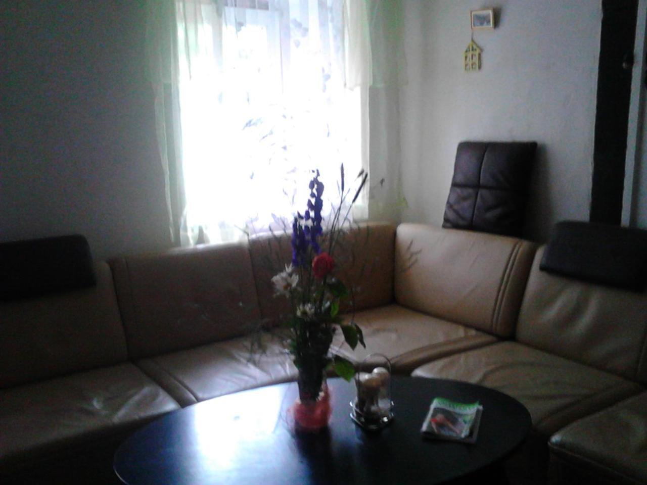 Jiretinska Chaloupka Apartment Jiřetín pod Jedlovou Bagian luar foto